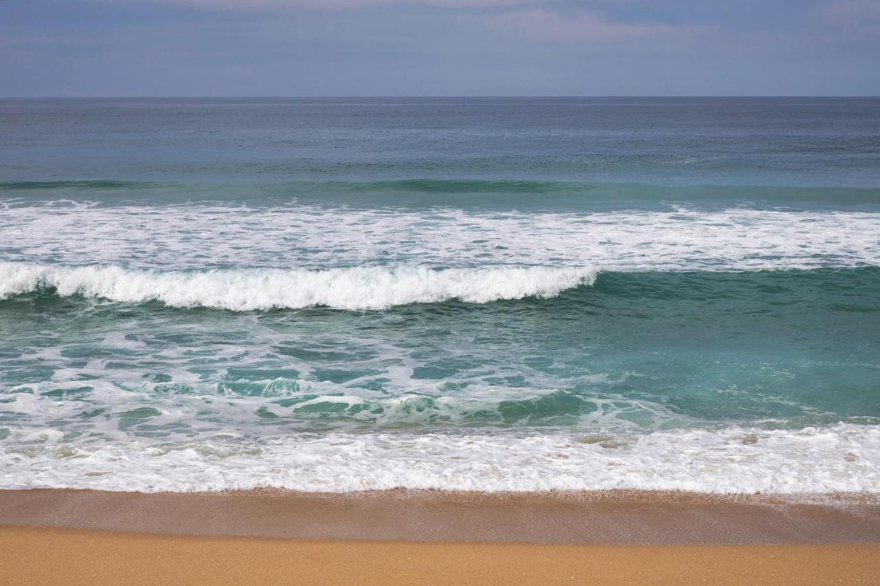 Apart@Costasantoandre Beach Santiago do Cacém Buitenkant foto