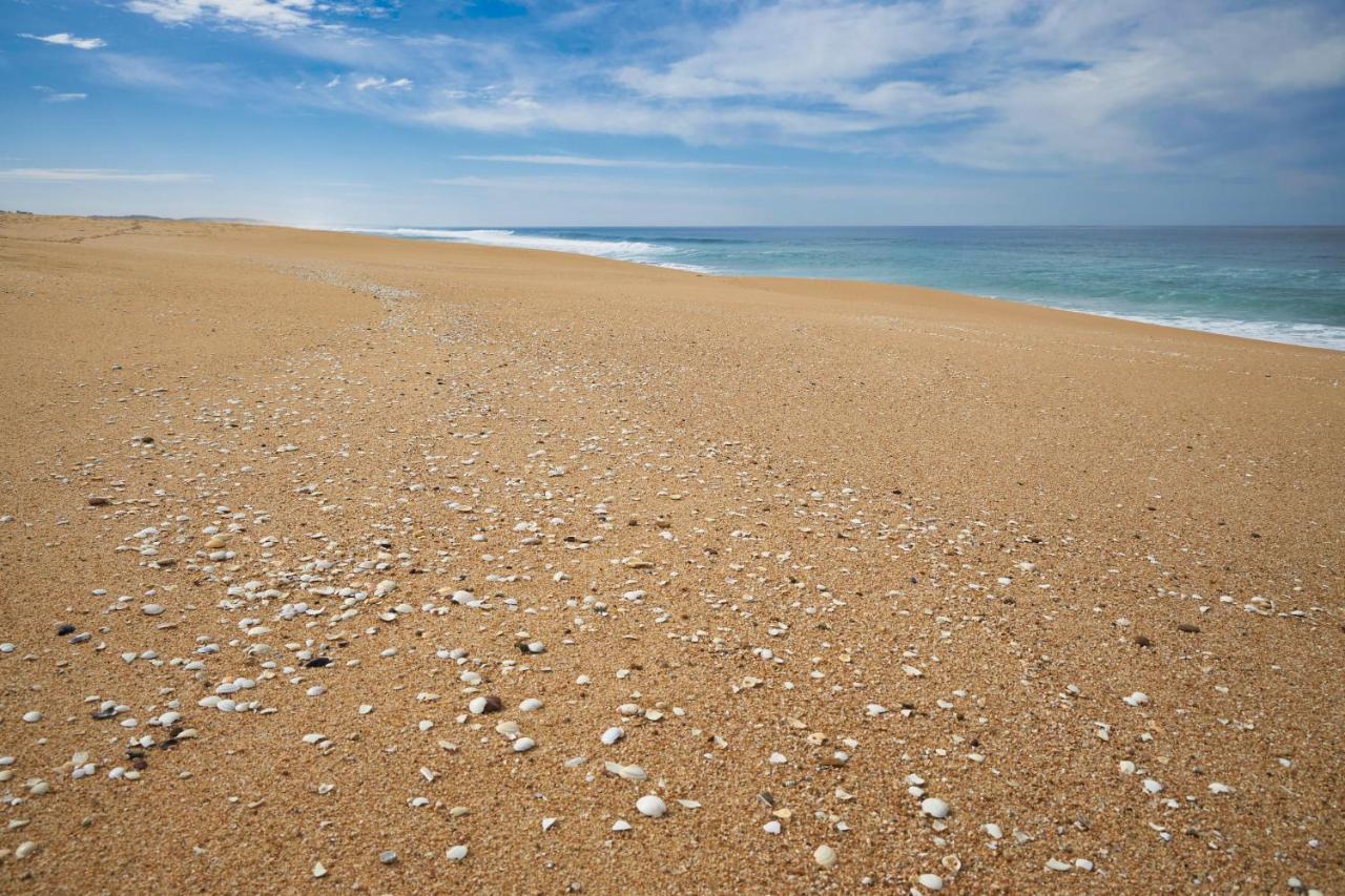Apart@Costasantoandre Beach Santiago do Cacém Buitenkant foto